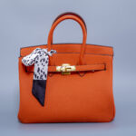 Orange Toggle Buckle Handbag